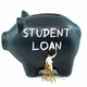 What is Stafford Loan?
